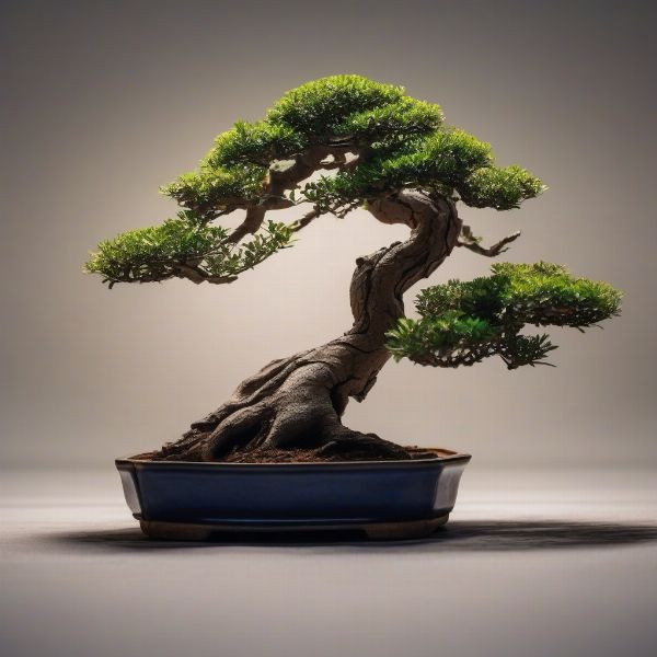 Lặn Ngắm Tâm Hồn Qua Từng Cành Bonsai: Ý Nghĩa Sâu Lắng